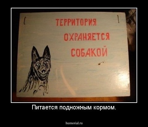 Питается подножным кормом.