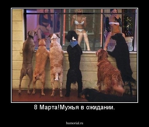 8 Марта!Мужья в ожидании.