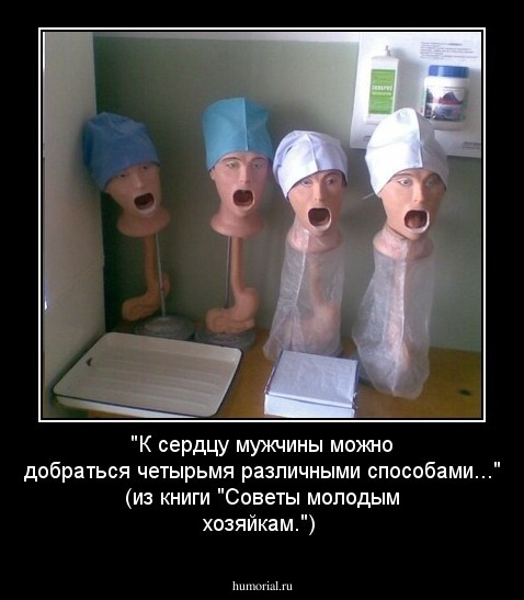 "К сердцу мужчины можно добраться четырьмя различными способами..." (из книги "Советы молодым хозяйкам.")