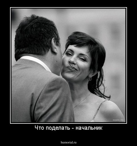Что поделать - начальник