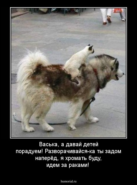Васька, а давай детей порадуем! Разворачивайся-ка ты задом наперёд, я хромать буду, идем за раками!