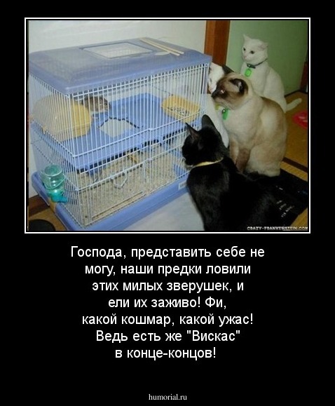 Господа, представить себе не могу, наши предки ловили этих милых зверушек, и ели их заживо! Фи, какой кошмар, какой ужас! Ведь есть же "Вискас" в конце-концов!