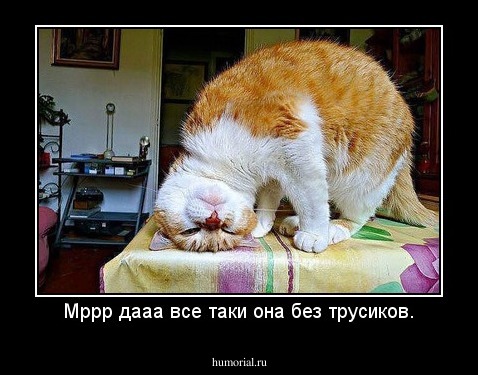 Мррр дааа все таки она без трусиков.