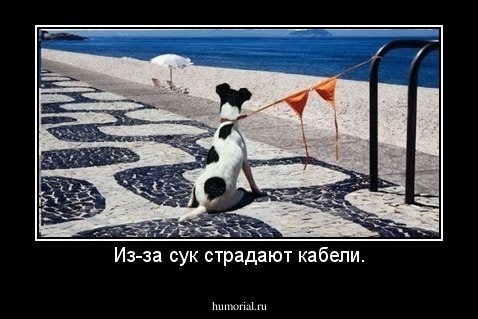 Из-за сук страдают кабели.