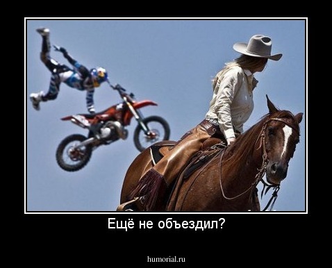 Ещё не объездил?