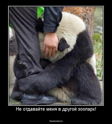 Не отдавайте меня в другой зоопарк!