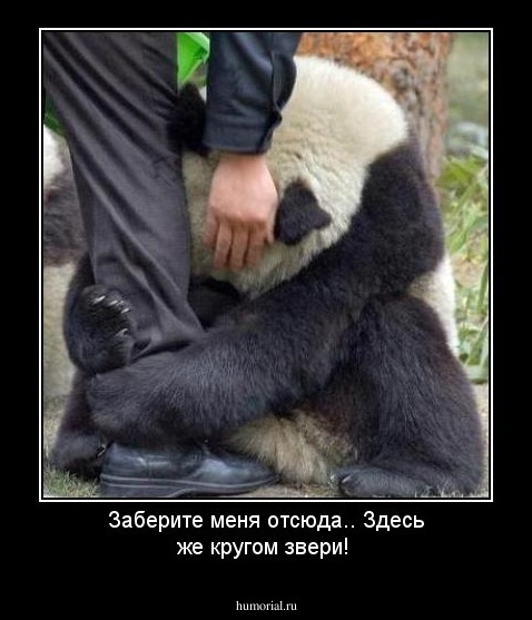 Заберите меня отсюда.. Здесь же кругом звери!