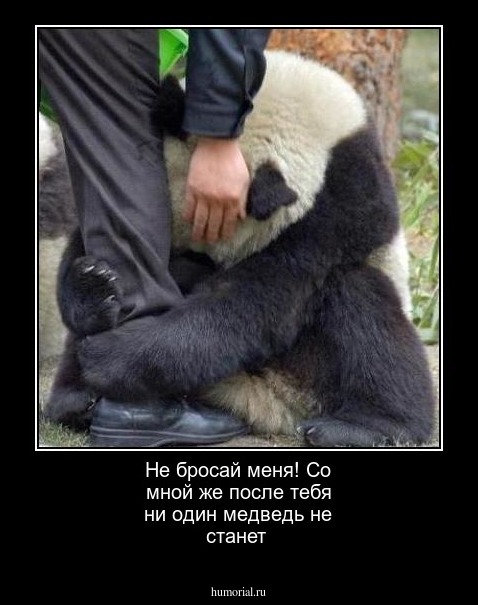 Не бросай меня! Со мной же после тебя ни один медведь не станет
