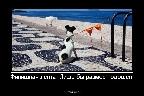 Финишная лента. Лишь бы размер подошел.