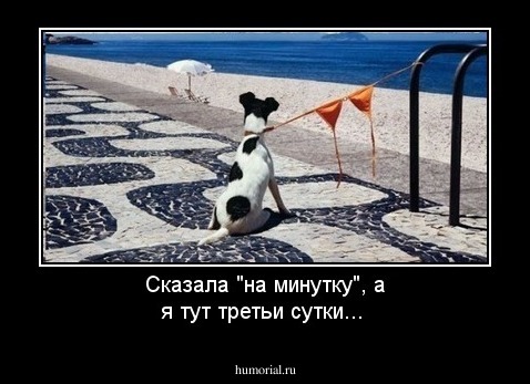 Сказала "на минутку", а я тут третьи сутки...