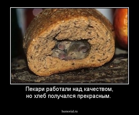 Пекари работали над качеством, но хлеб получался прекрасным.