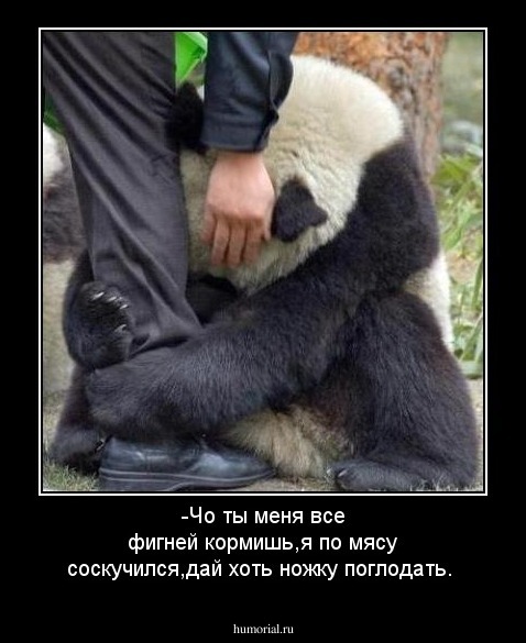-Чо ты меня все фигней кормишь,я по мясу соскучился,дай хоть ножку поглодать.