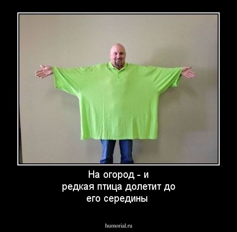 На огород - и редкая птица долетит до его середины