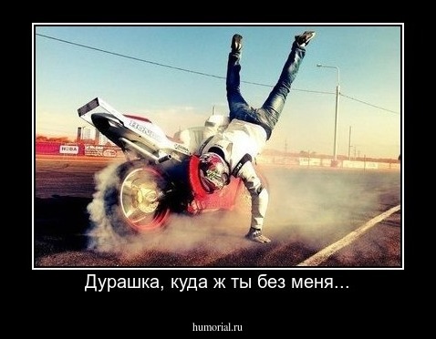 Дурашка, куда ж ты без меня...