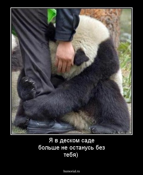 Я в деском саде больше не останусь без тебя)