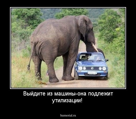 Выйдите из машины-она подлежит утилизации!