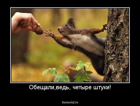 Обещали,ведь, четыре штуки!