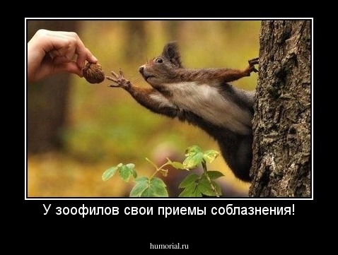 У зоофилов свои приемы соблазнения!
