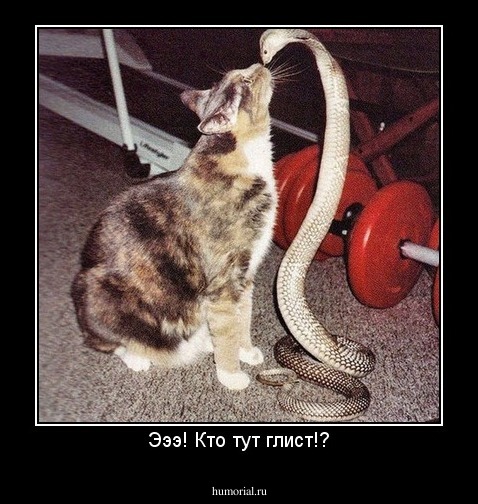Эээ! Кто тут глист!?