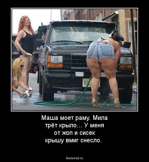 Маша моет раму. Мила трёт крыло... У меня от жоп и сисек  крышу вмиг снесло.