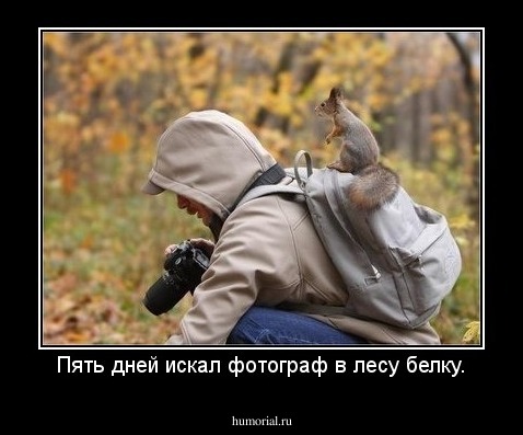 Пять дней искал фотограф в лесу белку.