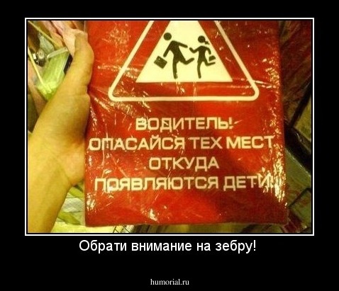 Обрати внимание на зебру! 
