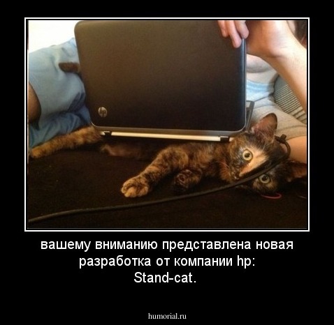 вашему вниманию представлена новая разработка от компании hp: Stand-cat. 