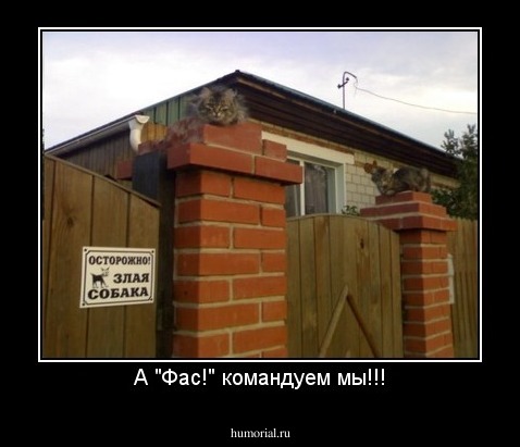 А "Фас!" командуем мы!!!