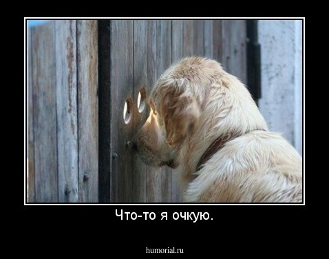 Что-то я очкую.