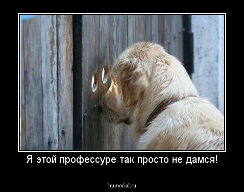 Я этой профессуре так просто не дамся!