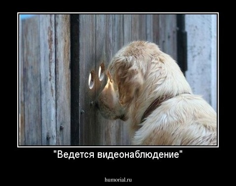 "Ведется видеонаблюдение"
