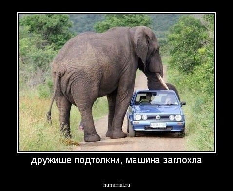 дружише подтолкни, машина заглохла