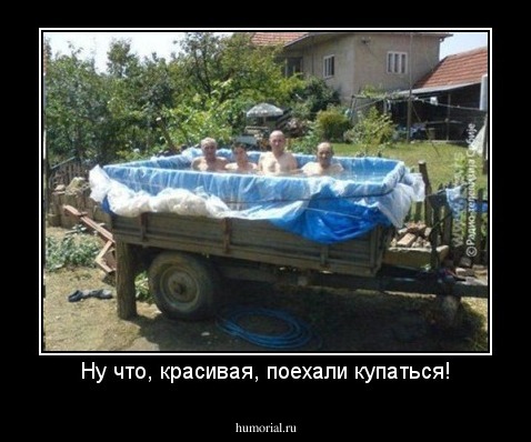 Ну что, красивая, поехали купаться!