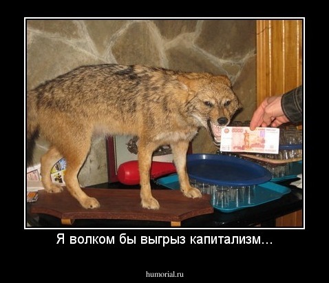 Я волком бы выгрыз капитализм...