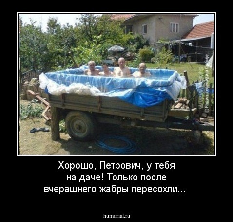 Хорошо, Петрович, у тебя на даче! Только после вчерашнего жабры пересохли...