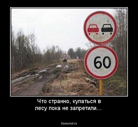 Что странно, купаться в лесу пока не запретили...