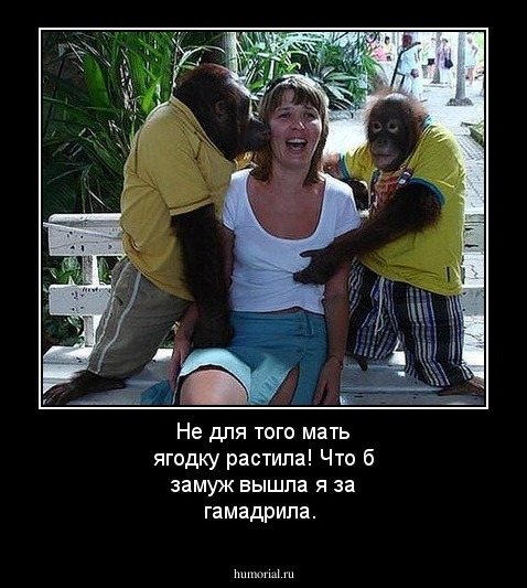 Не для того мать ягодку растила!
Что б замуж вышла я за гамадрила.