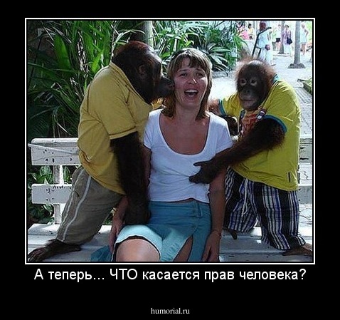 А теперь... ЧТО касается прав человека?