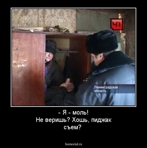 - Я - моль! Не веришь? Хошь,  пиджак съем?