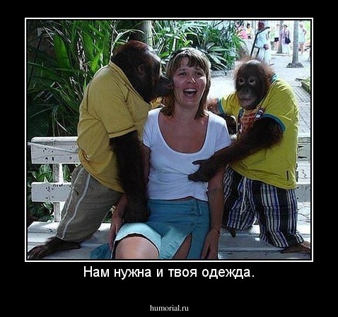 Нам нужна и твоя одежда.