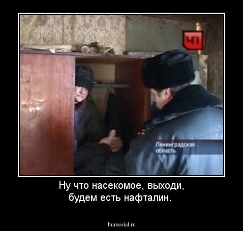 Ну что насекомое, выходи, будем есть нафталин.
