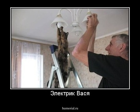 Электрик Вася
