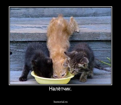 Налётчик.