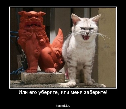 Или его уберите, или меня заберите!