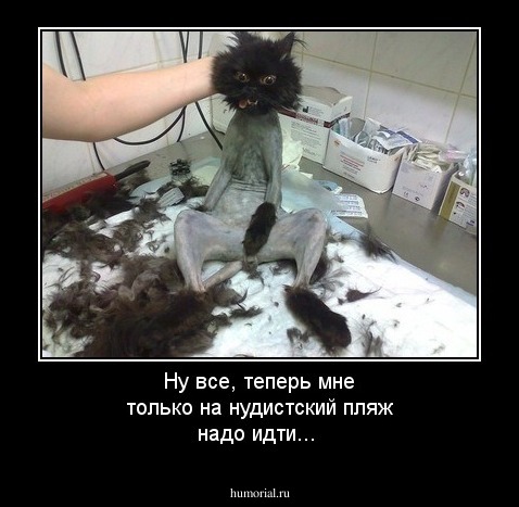 Ну все, теперь мне только на нудистский пляж надо идти...