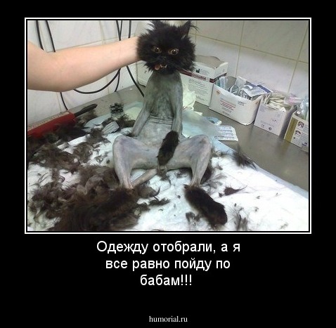 Одежду отобрали, а я все равно пойду по бабам!!!