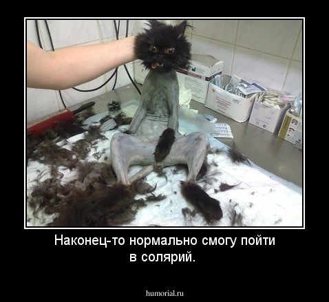 Наконец-то нормально смогу пойти в солярий.