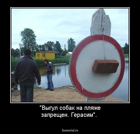  "Выгул собак на пляже запрещен. Герасим". 