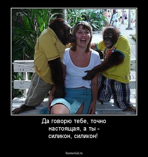 Да говорю тебе, точно настоящая, а ты - силикон, силикон!