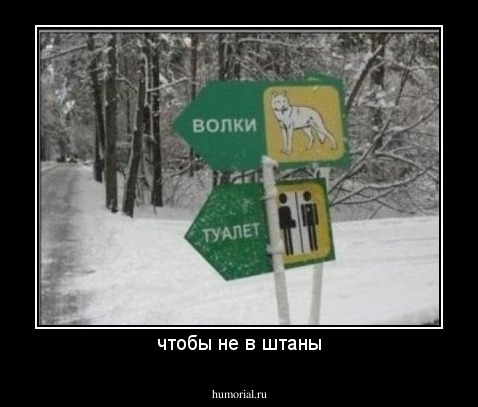 чтобы не в штаны